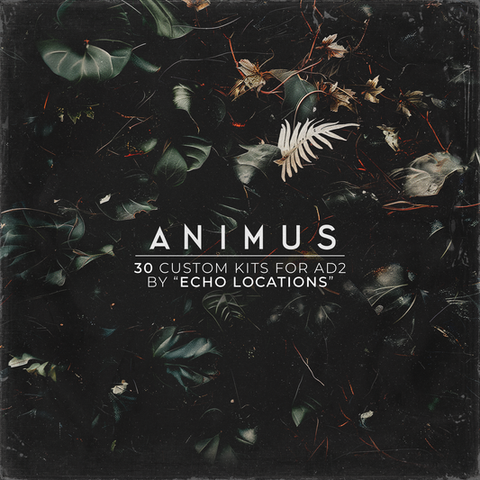 ECHO LOCATIONS - "ANIMUS"